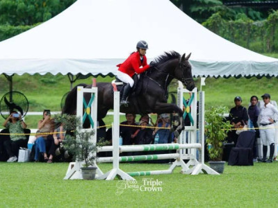 Support Julia's Showjumping Dream